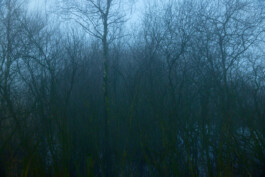 jan schoelzel photography hanover hannover science 