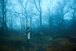 jan schoelzel photography hanover hannover science 