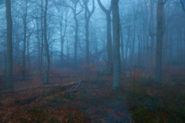 jan schoelzel photography hanover hannover science 