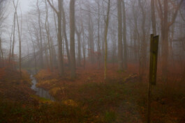 jan schoelzel photography hanover hannover science 