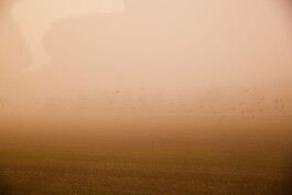 jan schoelzel photography hanover hannover science 