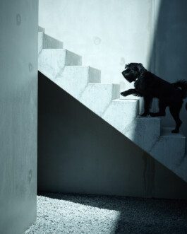 jan schoelzel photography hanover hannover science 