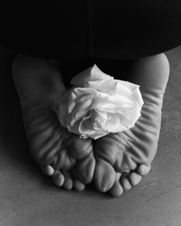 jan schoelzel photography hanover hannover science 