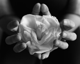 jan schoelzel photography hanover hannover science 