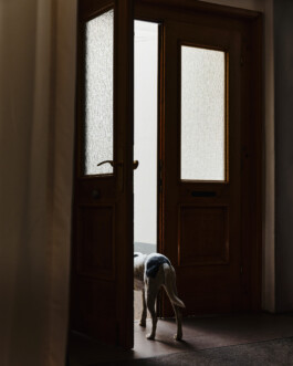 jan schoelzel photography hanover hannover science 