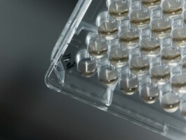 jan schoelzel photography hanover hannover science 