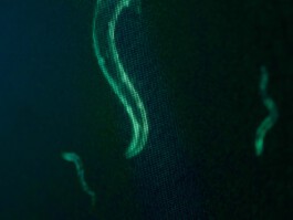 jan schoelzel photography hanover hannover science 