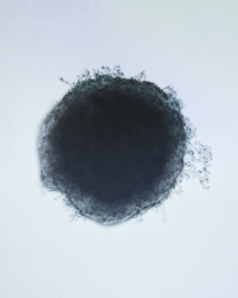 jan schoelzel photography hanover hannover science 