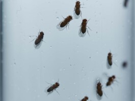 jan schoelzel photography hanover hannover science 