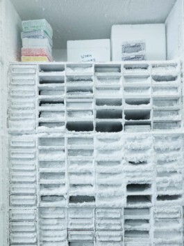 jan schoelzel photography hanover hannover science 