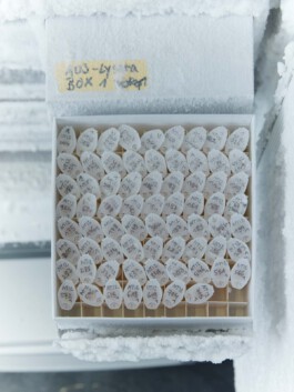 jan schoelzel photography hanover hannover science 