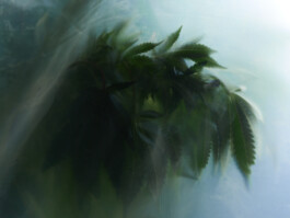 jan schoelzel photography hanover hannover science 