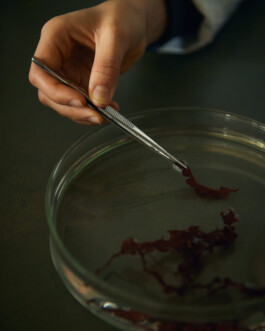 jan schoelzel photography hanover hannover science 