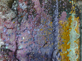 jan schoelzel photography hanover hannover science 