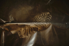 jan schoelzel photography hanover hannover science