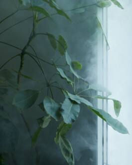 jan schoelzel photography hanover hannover science